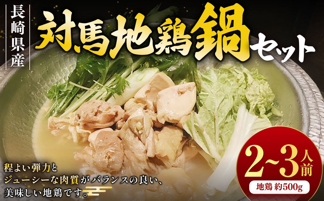 【7営業日以内発送】長崎県産 対馬地鶏 鍋セット（2〜3人前） ／ モモ ムネ 白湯スープ ジューシー 惣菜 冷凍 長崎県産 国産 お肉 肉 地鶏 九州 長崎県 長崎市