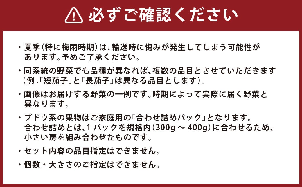 【12回定期便】 定番の野菜フルーツセット 6品目以上 ／ 詰め合わせ 鮮度 野菜 やさい 果物 くだもの 果実 フルーツ 定番 セット 季節 定期便 定期 旬