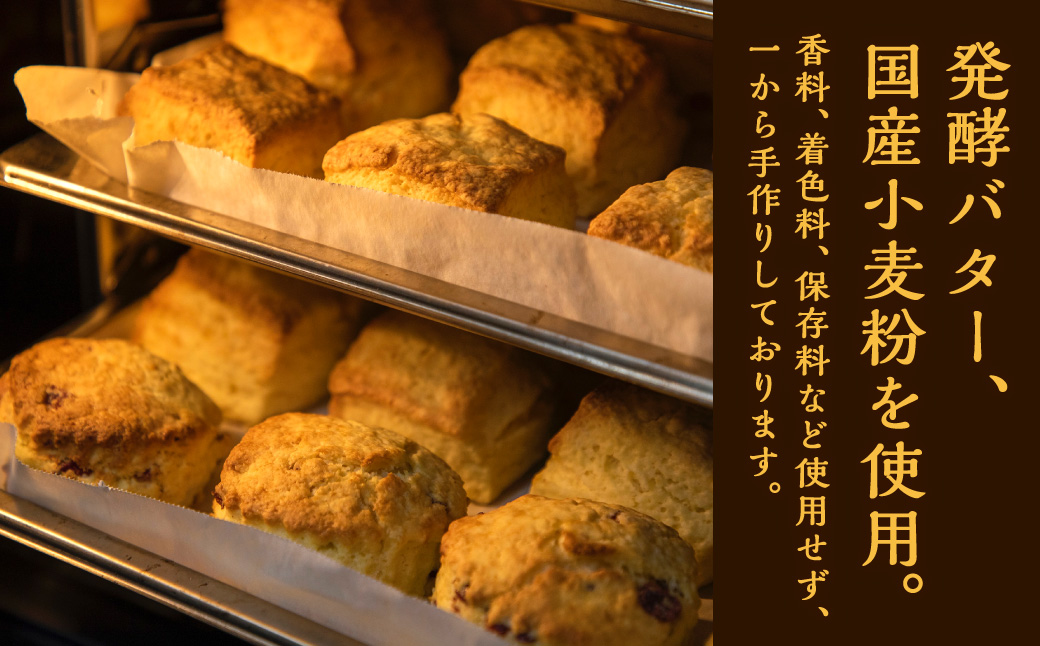 【全6回定期便】おまかせ思案橋スコーンセット (9個入り)  お菓子 おかし 菓子 おまかせセット 定期 長崎