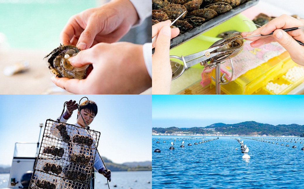 【7営業日以内発送】《アコヤ真珠》8.0-8.5mm フォーマルパールネックレス【★★☆☆☆】／  パール アコヤ真珠 真珠 ダイヤ ネックレス アクセサリー ジュエリー 長崎県 長崎市