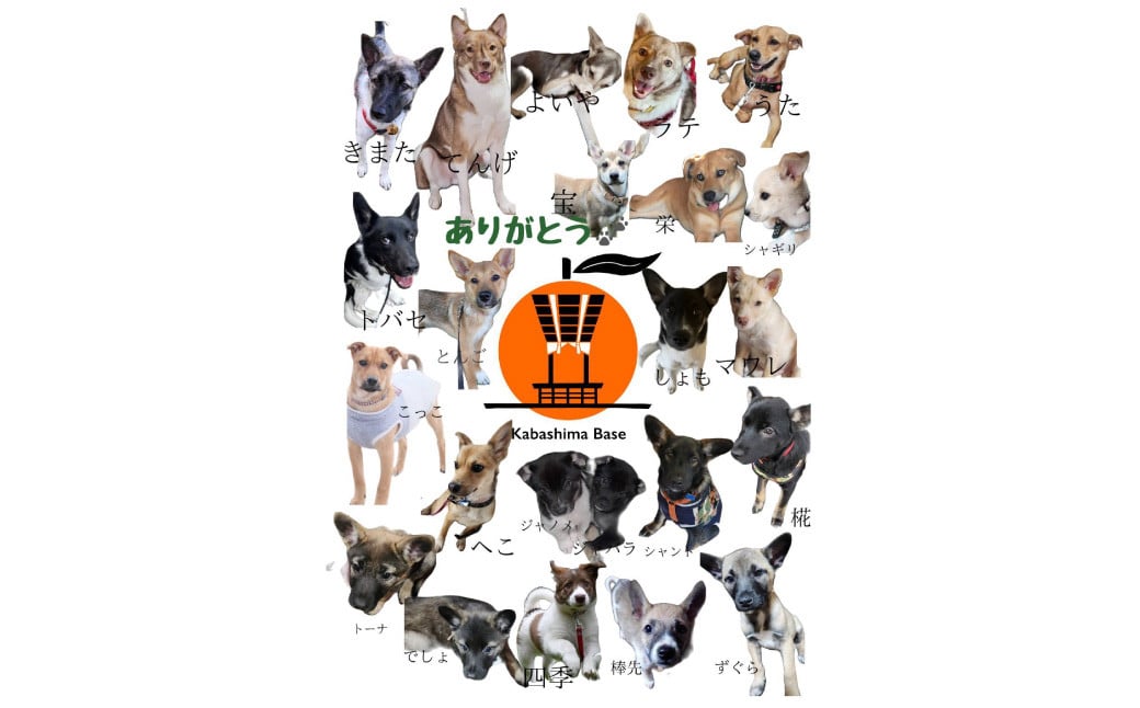 長崎特産 露地びわ「なつたより」希少大玉 4Lサイズ 6個入り 【2025年5月下旬〜6月上旬発送予定】 ／ 国産 果物 くだもの フルーツ 枇杷 ビワ びわ 贈答 化粧箱 産地直送 長崎県 長崎市