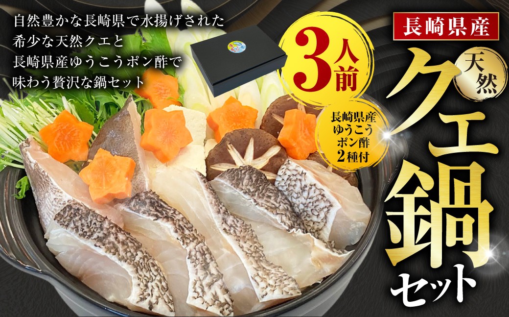 【14営業日以内発送】長崎県産 天然クエ鍋セット （3人前） 長崎県産 ゆうこうポン酢 2種付 ／ ポン酢付き クエ鍋 海鮮鍋 クエ くえ 魚 アラ 切り身 鍋セット セット 九州 長崎県 長崎市 冷凍