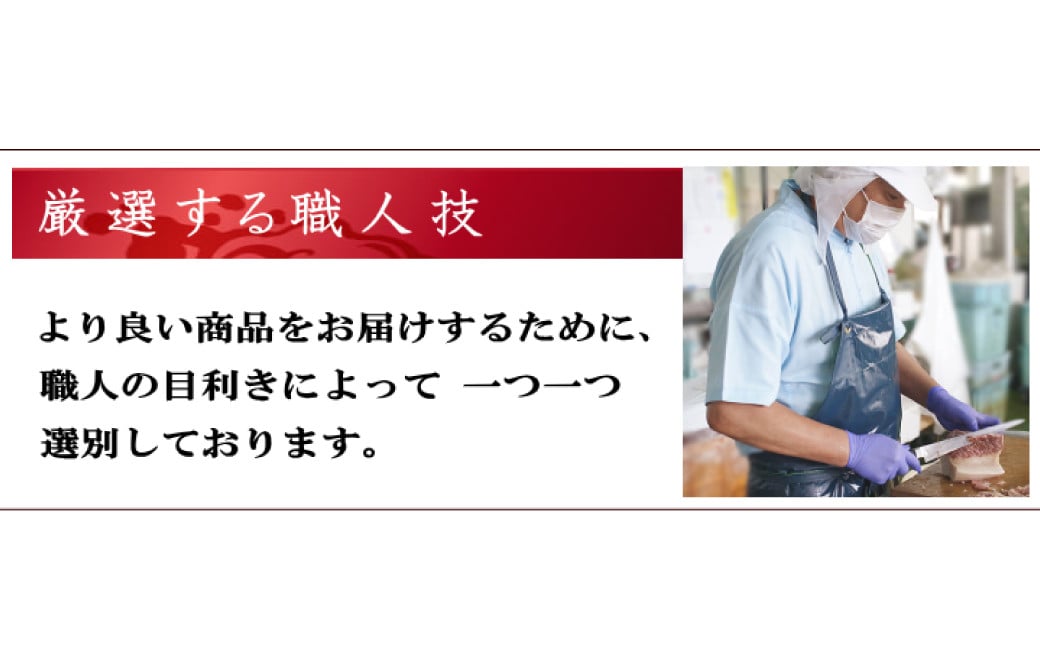 すえひろブロック 100g×5個セット ／ 鯨 クジラ肉 鯨料理 セット 珍味 畝須