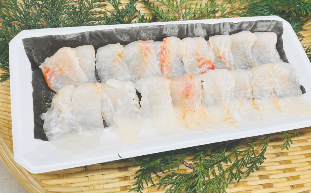 長崎の森で育てた『幻のクエ』昆布〆 刺身用  5～6人前 (1kg～2kg前後) ／ 魚 海鮮 魚介類 高級魚 クエ  刺身 刺し身 頭付き 長崎県 長崎市