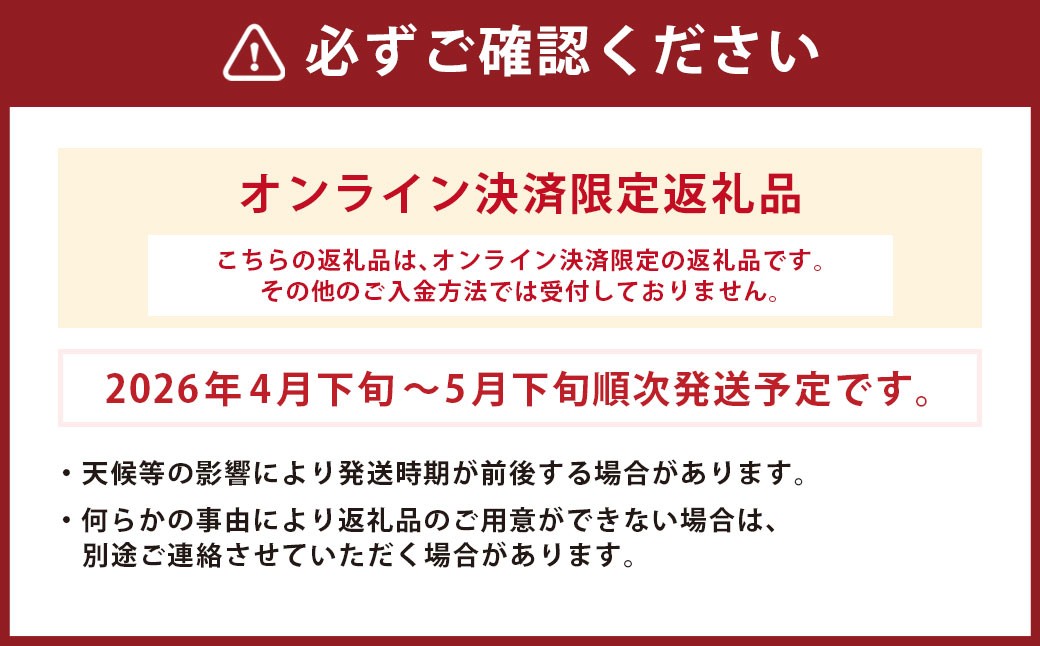 長崎市産びわ500g L玉サイズ（12個入） 贈答用箱入り 【2026年4月下旬～5月下旬発送予定】 びわ ビワ 果物 くだもの フルーツ 国産 国産フルーツ 常温 長崎県 長崎市