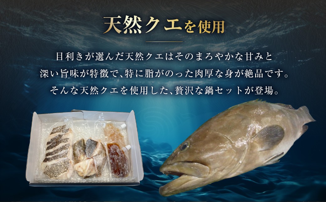 【14営業日以内発送】長崎県産 天然クエ鍋セット （3人前） 長崎県産 ゆうこうポン酢 2種付 ／ ポン酢付き クエ鍋 海鮮鍋 クエ くえ 魚 アラ 切り身 鍋セット セット 九州 長崎県 長崎市 冷凍