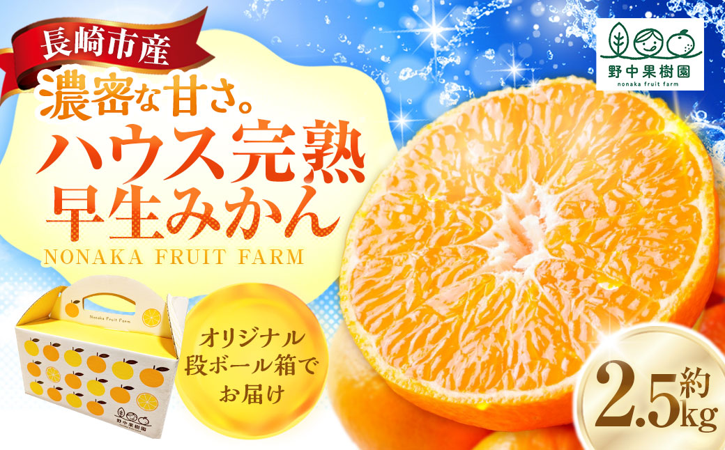 先行予約 ハウス完熟早生みかん お試し 約2.5kg箱 | 期間限定 フルーツ 果物 くだもの 柑橘 ミカン 野中果樹園 長崎県 長崎市 【2026年1月上旬～下旬迄発送予定】