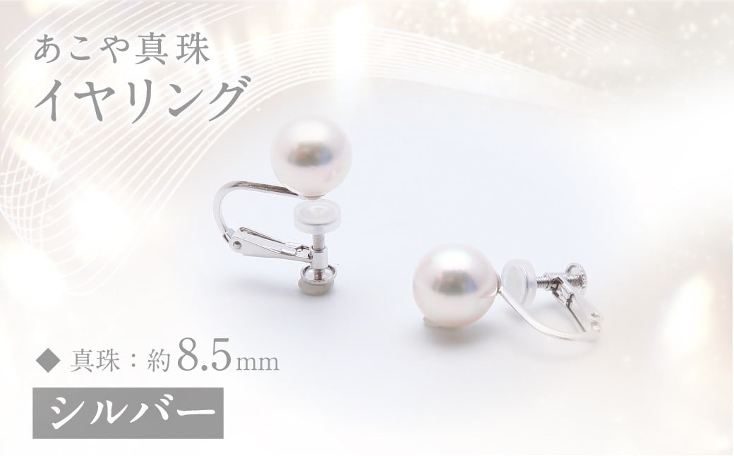 あこや真珠 (約8.5mm珠) イヤリング／シルバー ジュエリー アクセサリー