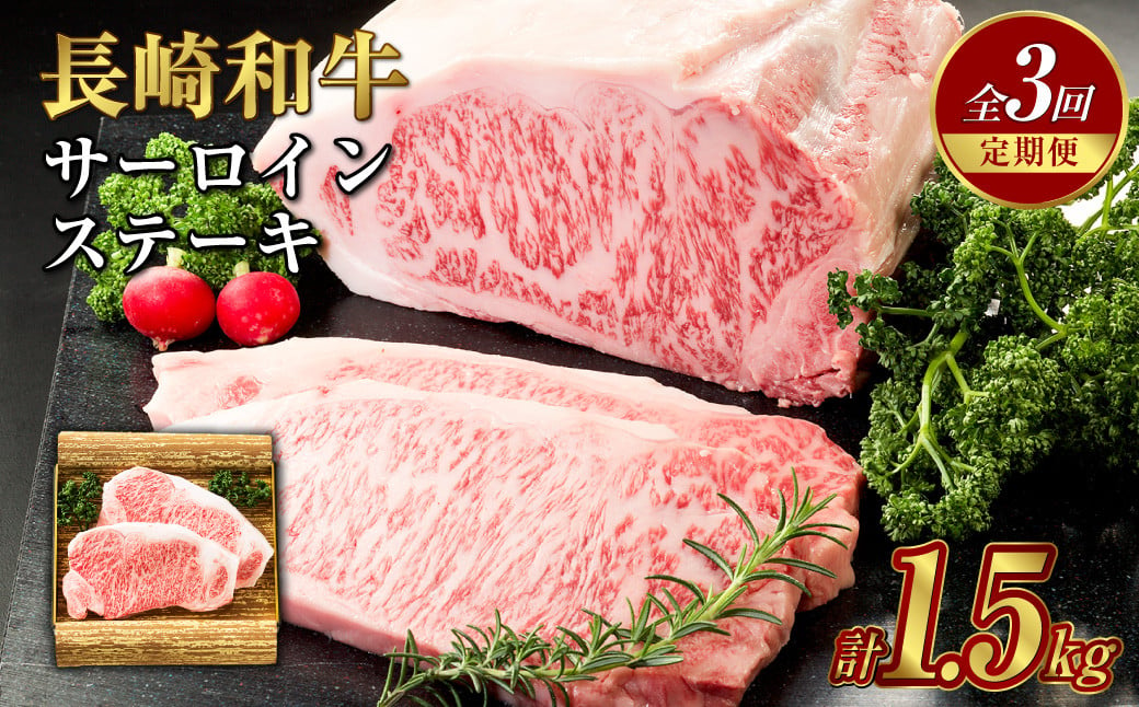 【全3回定期便】長崎和牛 サーロイン ステーキ 250g×2枚 牛肉 肉 牛 和牛 国産