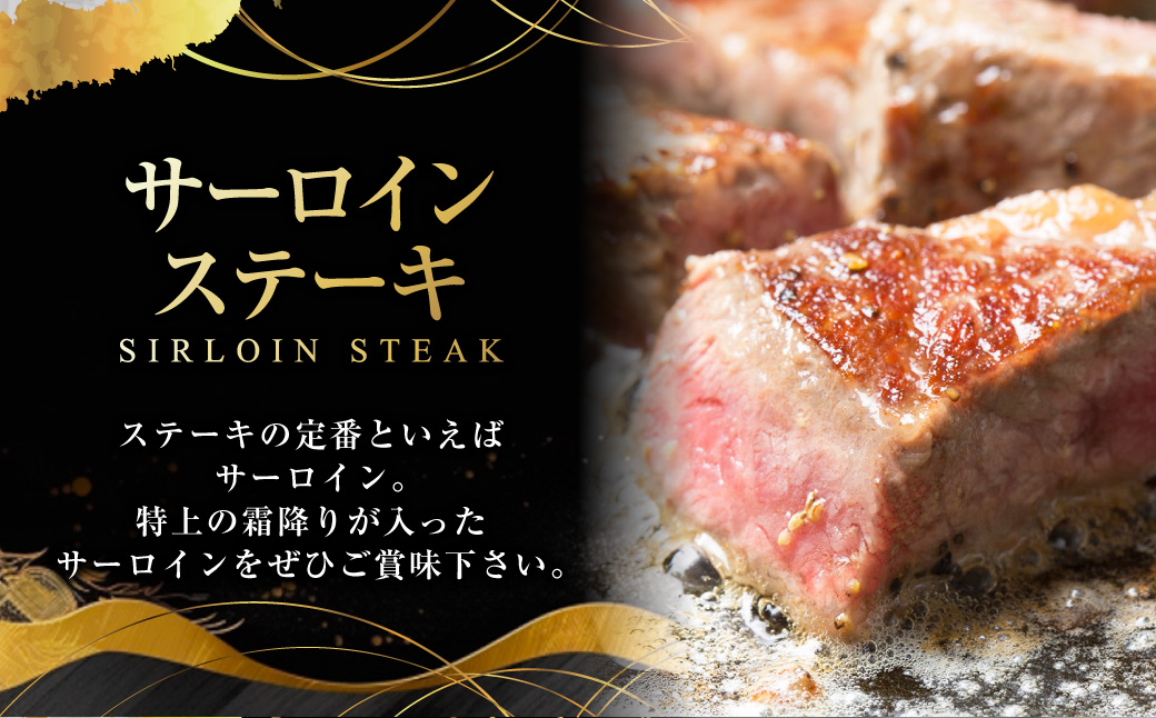 よくばりセットBタイプ【長崎和牛出島ばらいろ・長崎県産SPF五島美豚】 ／  和牛 国産 お肉 肉 牛肉 SPF豚 五島美豚 豚肉 長崎県 長崎市