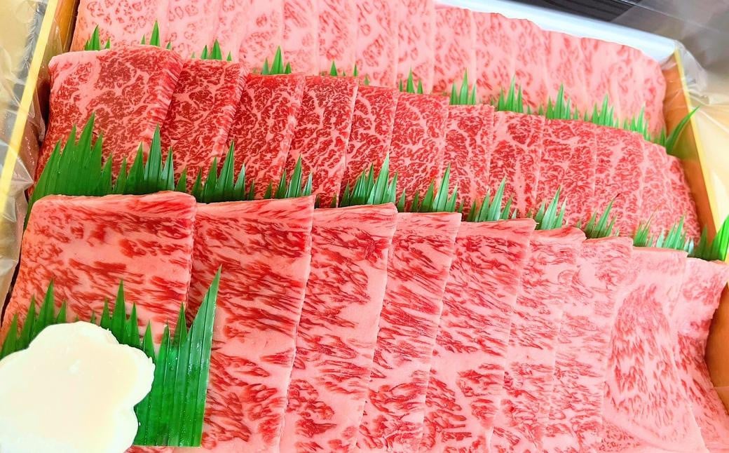 【全12回定期便】長崎和牛 焼肉 セット カルビ ロース 赤身 約600g (各200g) ／合計7.2kg 国産 肉 牛肉 和牛 お肉 長崎県 長崎市