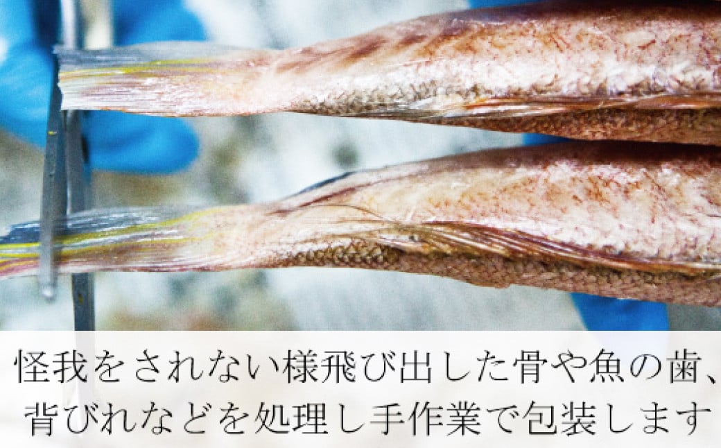 【年4回定期便 (2月・5月・8月・11月配送) 】一夜干しセット 干物 ひもの 魚介 海鮮 海の幸 おつまみ 肴 魚