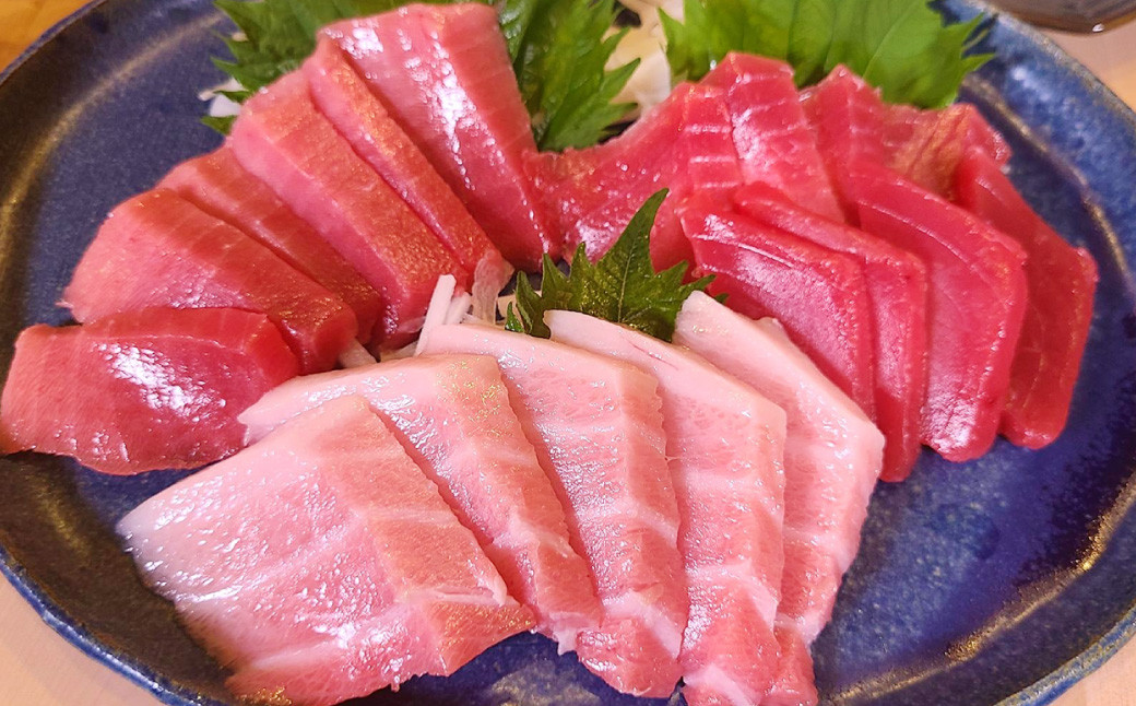 新鮮！長崎漁港発 活き〆本マグロ 中トロ500g ／ 魚 魚介 鮮魚 海鮮 鮪 マグロ まぐろ 本まぐろ 〆 中トロ 刺身 大将農園 長崎県 長崎市