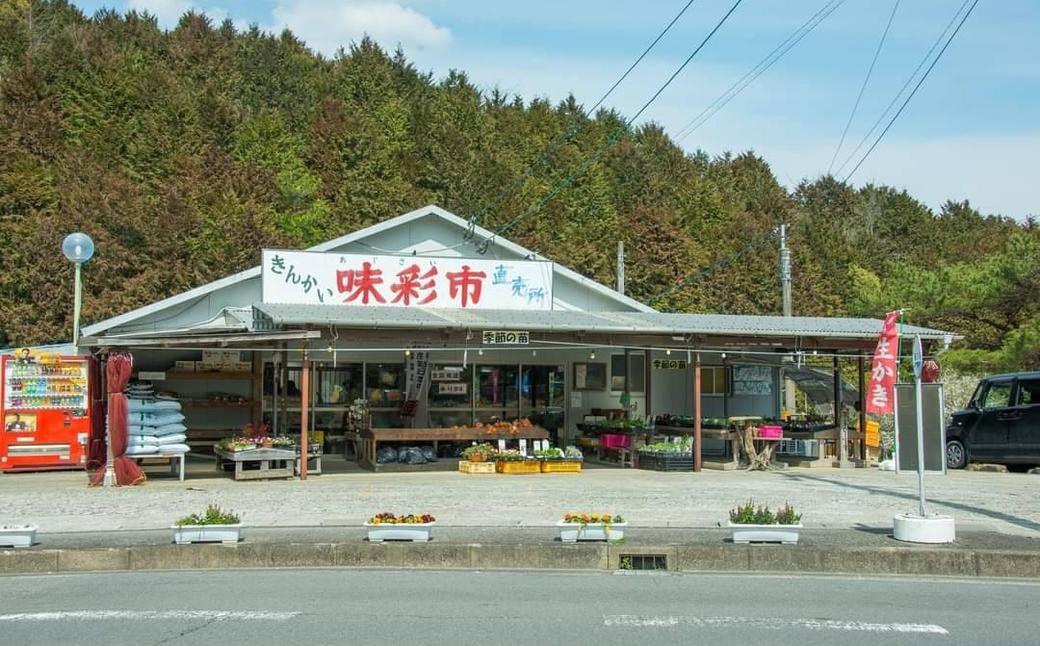 直売所おすすめ！旬野菜セット 5〜10品目 ／ やさい 旬 野菜 詰合せ 詰め合わせ 新鮮 産地直送 ふるさと  おまかせ お楽しみ きんかい味彩市 長崎県 長崎市