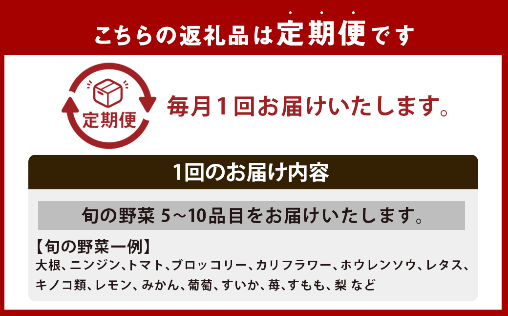 【全12回定期便】 農産物直売所おすすめ！ 旬野菜 セット 5〜10品目 ／ やさい 旬 野菜 詰合せ 詰め合わせ 新鮮 産地直送 ふるさと おまかせ お楽しみ きんかい味彩市 長崎県 長崎市