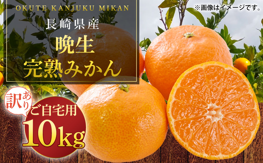 訳あり 晩生完熟みかん10kg ( ご自宅用 ) ／  果物 くだもの フルーツ 柑橘 蜜柑 ミカン 晩生みかん 完熟 青果品 訳アリ ワケアリ わけあり 理由あり 国産 大将農園 長崎県 長崎市 【2026年1月上旬～2月下旬迄発送予定】