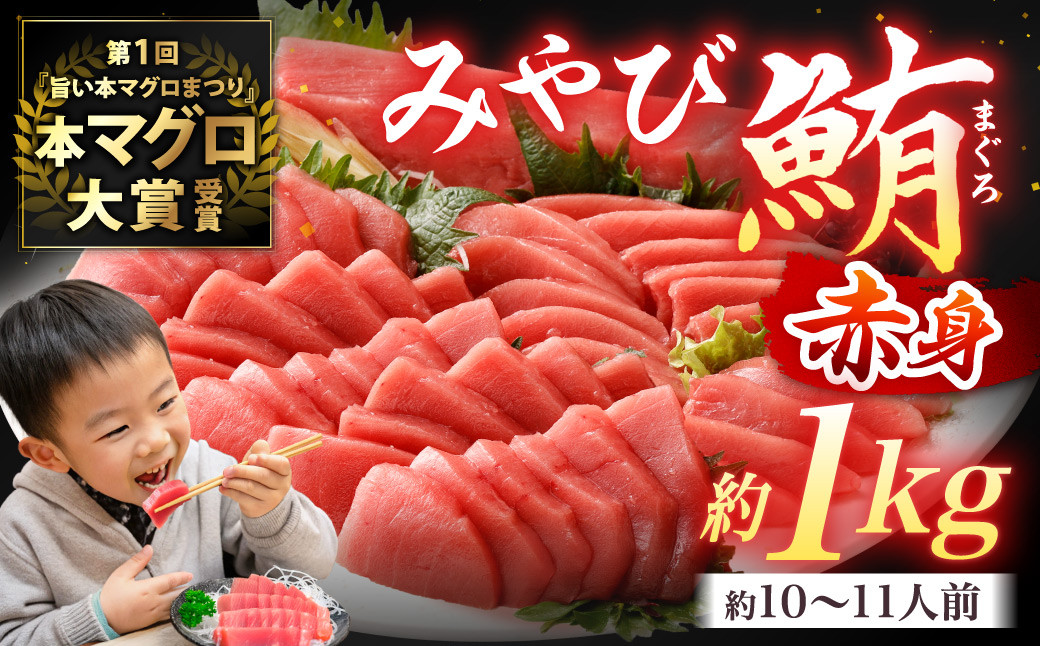 本マグロ 大賞受賞 みやび鮪 赤身 計約1kg (約10～11人前) ／ 鮪 まぐろ マグロ 刺し身 刺身 本まぐろ 本鮪 冷凍 魚 魚介まぐろ丼 まぐろ漬け丼 海鮮丼 おすすめ 長崎市