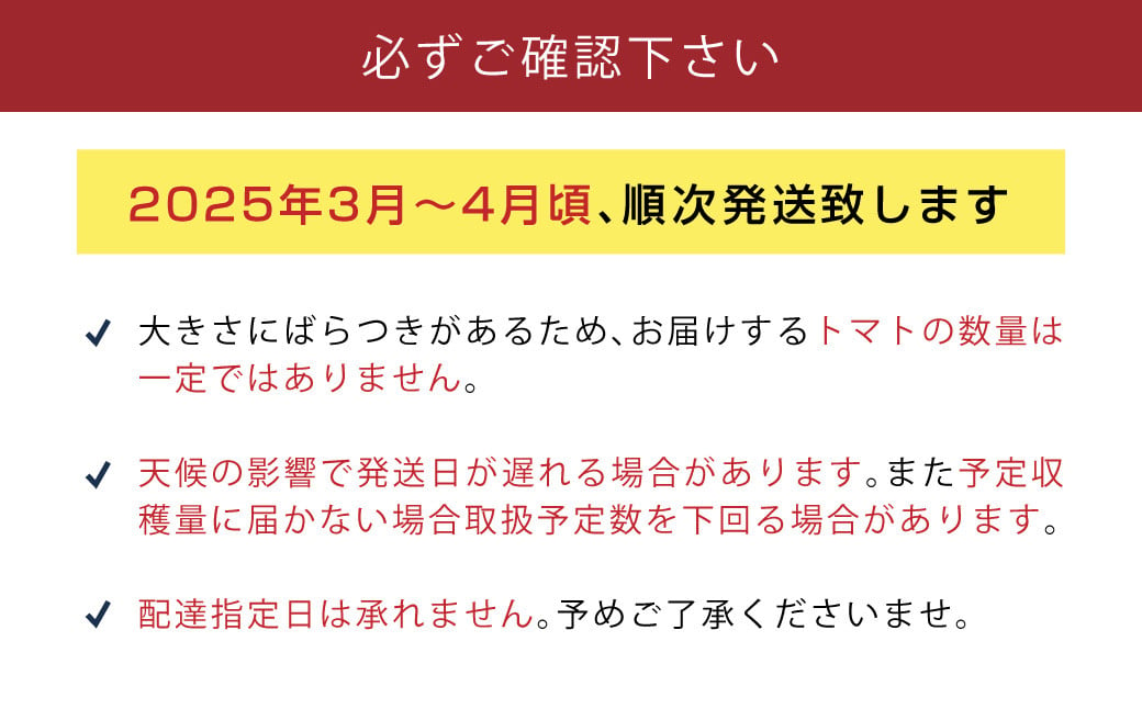 【数量限定 先行予約】たかしまフルーティトマト 糖度10度以上 「ハートの女王」1kg箱 2025年3月頃から4月頃にかけて順次発送