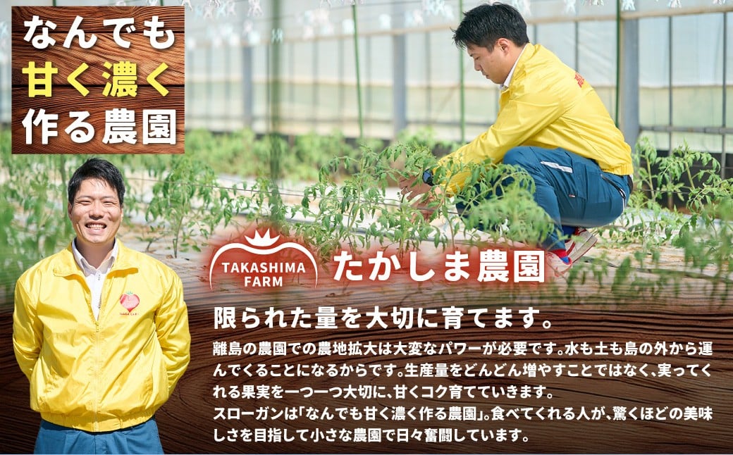 たかしまフルーティトマトの贅沢コース 【年4回定期便 （2月／3月／4月／5月配送）】 ／ 情熱ハート ハートのプリンセス ハートの女王 五月の初恋 合計約7.2kg フルーティートマト フルーツトマト トマト とまと 野菜 やさい