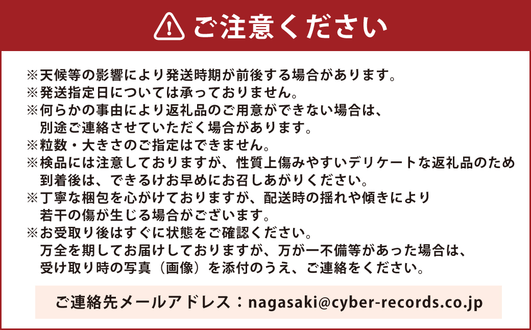 【贈答用】いちご ゆめの香 計30粒（15粒×2パック）化粧箱入 ／ イチゴ 苺 フルーツ 果物 くだもの わたる農園 長崎県 長崎市【2025年11月下旬-2026年3月下旬迄発送予定】