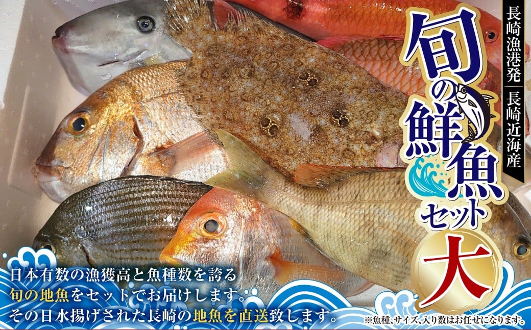長崎漁港 発！ 長崎近海産 旬の鮮魚 セット （大） 【2025年9月下旬～12月下旬迄発送予定】 ／ 魚 さかな 魚介 魚介類 旬 海鮮 鮮魚 地魚 長崎県産 長崎県 長崎市 冷蔵