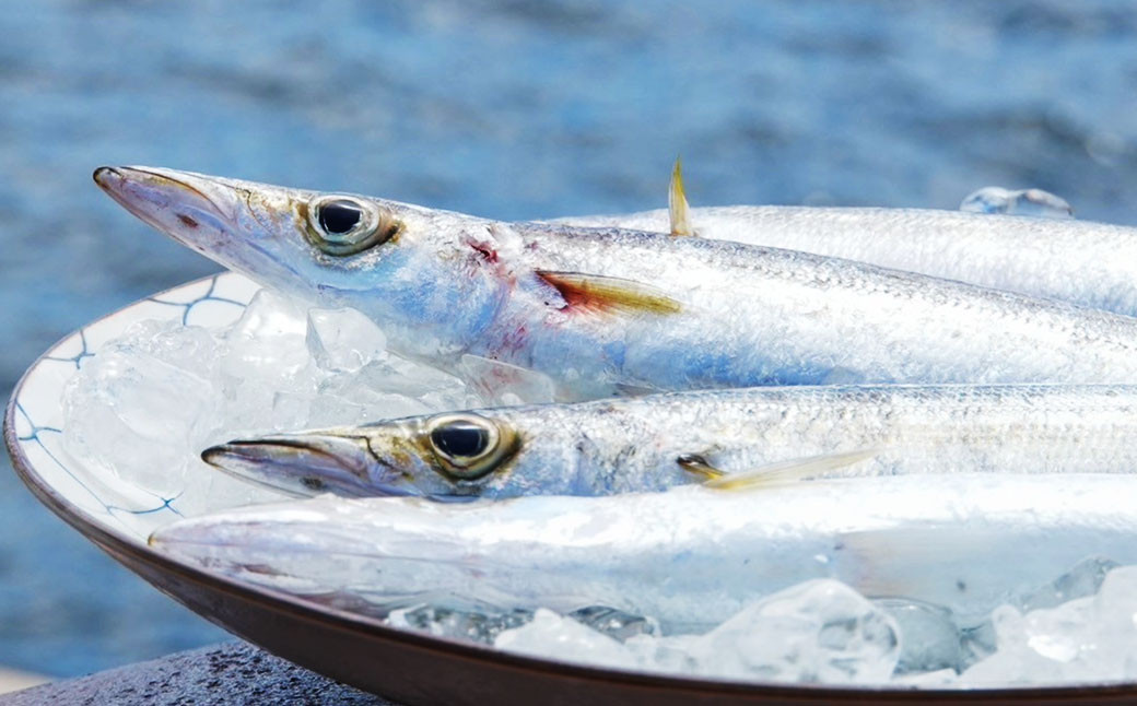 伊王島名物！！ まるかじり カマスティック 8本 セット 計約640g カマス 魚 フライ 揚げ物 冷凍 長崎県 長崎市