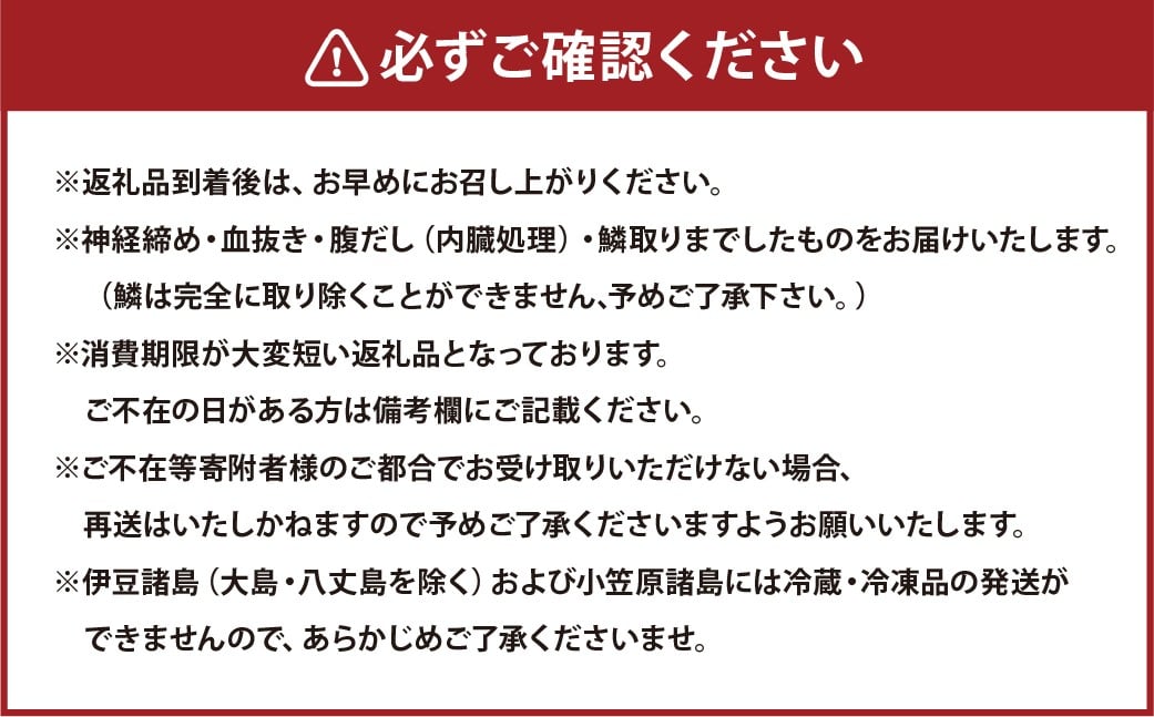 【14営業日以内発送】【premiumfishbrand】 ゆうこうシマアジ （活〆） ×1尾 （約1kg） シマアジ しまあじ 鯵 アジ あじ ゆうこう ブランド魚 魚 海鮮 九州 長崎県 長崎市 冷蔵