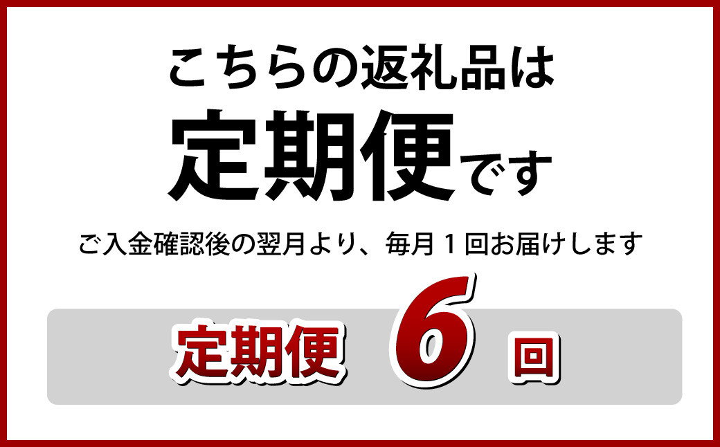 【全6回定期便】≪具材付≫ 長崎冷凍ちゃんぽん (3食) ・ 皿うどん (2食) 長崎ちゃんぽん チャンポン 麺 麺類 簡単調理