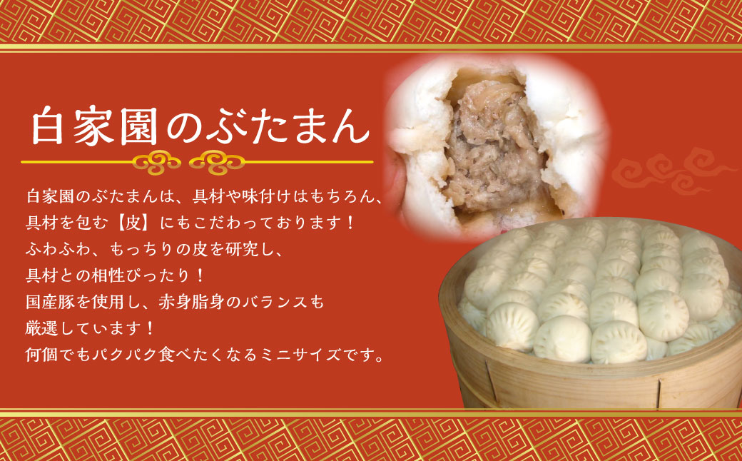 ãå
š12åå®æäŸ¿ããè©°ãåãããã¶ããŸã20åÃçŒé€å10åÃçŒå°ç± å
8å ïŒ äžè¯ ç¹å¿ æ£è è±ãŸã ãããã ã»ãã è©°ãåãã é·åŽç é·åŽåž