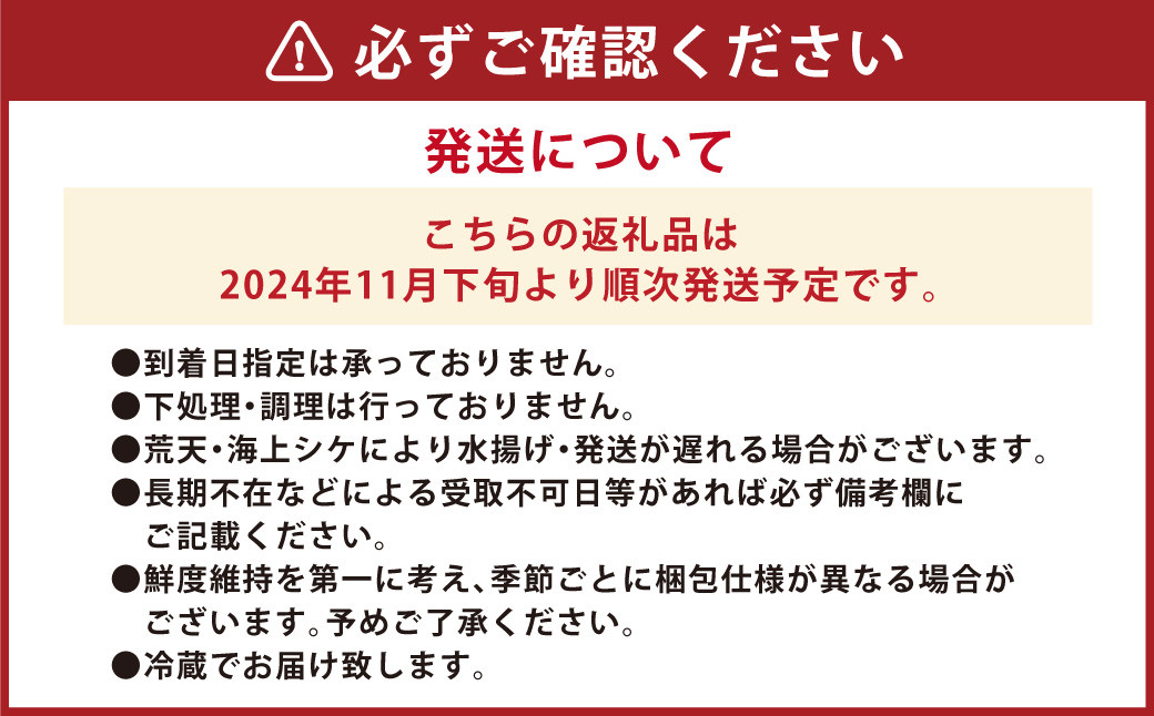 丸ごと1匹お届け！長崎近海 天然アラ (クエ) 3kg台 (3.2〜3.8kg、5〜6人前) ／ 魚 鮮魚 魚介 海鮮 高級魚 くえ あら 血抜き 鍋 刺身 大将農園 長崎県 長崎市