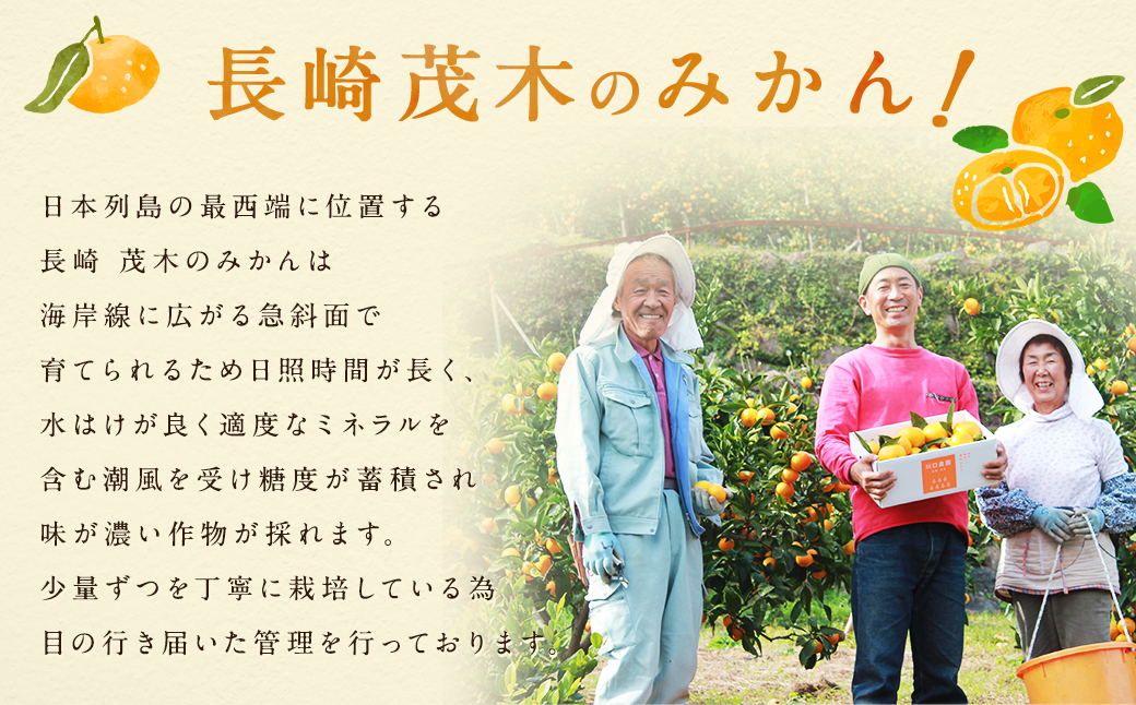長崎県産 温州みかん 3kg 個数・サイズ おまかせ／ フルーツ 果物 くだもの 果実 ミカン 蜜柑 柑橘 長崎県 長崎市 川口農園 アフター保証 【2025年10月上旬～2026年1月下旬迄発送予定】
