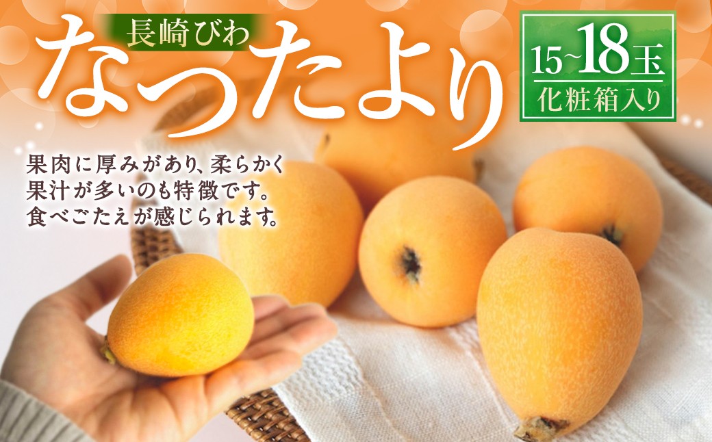 先行予約 長崎びわ「なつたより」15玉-18玉入り フルーツ 果物 くだもの ビワ 【2025年5月上旬～6月上旬発送予定】