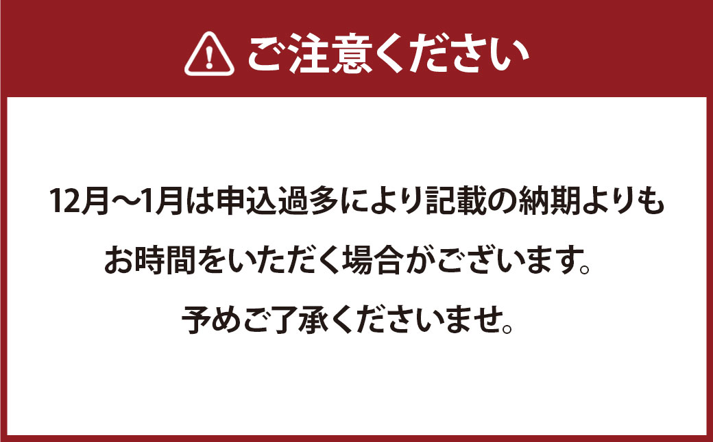 【7営業日以内発送】【数量限定】 本べっ甲 根付 福槌 ／ 鼈甲 べっこう べっ甲 小槌 こづち お守り 縁起物 長崎県 長崎市