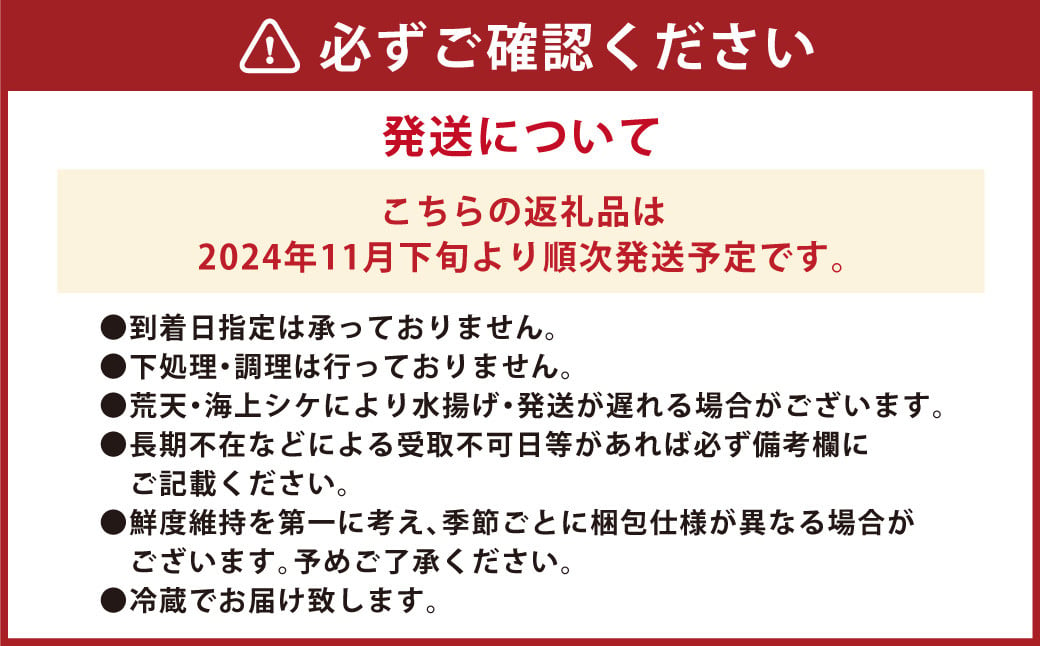 丸ごと1匹お届け！長崎近海 天然アラ (クエ) 5kg台 (5.2〜5.8kg、8〜10人前) ／ 魚 鮮魚 魚介 海鮮 高級魚 くえ あら 血抜き 鍋 刺身 大将農園 長崎県 長崎市