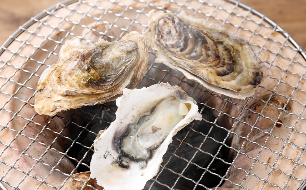 【指定日時必須】 戸石町産 殻付き牡蠣 約2kg（約20個／加熱用） 【 2026年12月上旬～2027年3月下旬発送予定 】 牡蠣 カキ かき 殻付き 国産 長崎県産 養殖 養殖牡蠣 養殖真牡蠣 ミネラル 栄養 美容 健康 加熱 牡蠣料理