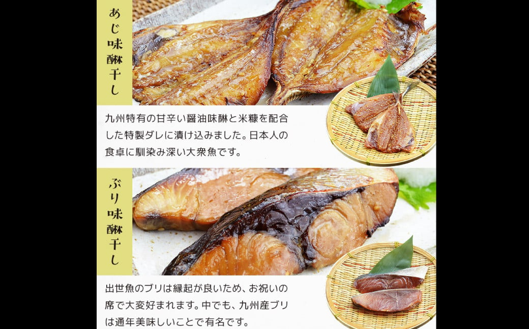 【全12回定期便】【最長2ヵ月前後】長崎 海鮮三昧 ひものセット 干物 乾物 魚介 お魚 魚  おつまみ 酒の肴