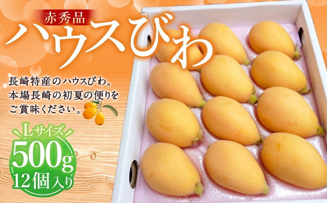 先行予約 期間限定 赤秀品 ハウスびわ 500g ( 化粧箱入り・Lサイズ12玉 ) ／ フルーツ 果物 くだもの ビワ 枇杷 長崎県 長崎市【2025年3月上旬より順次発送予定】