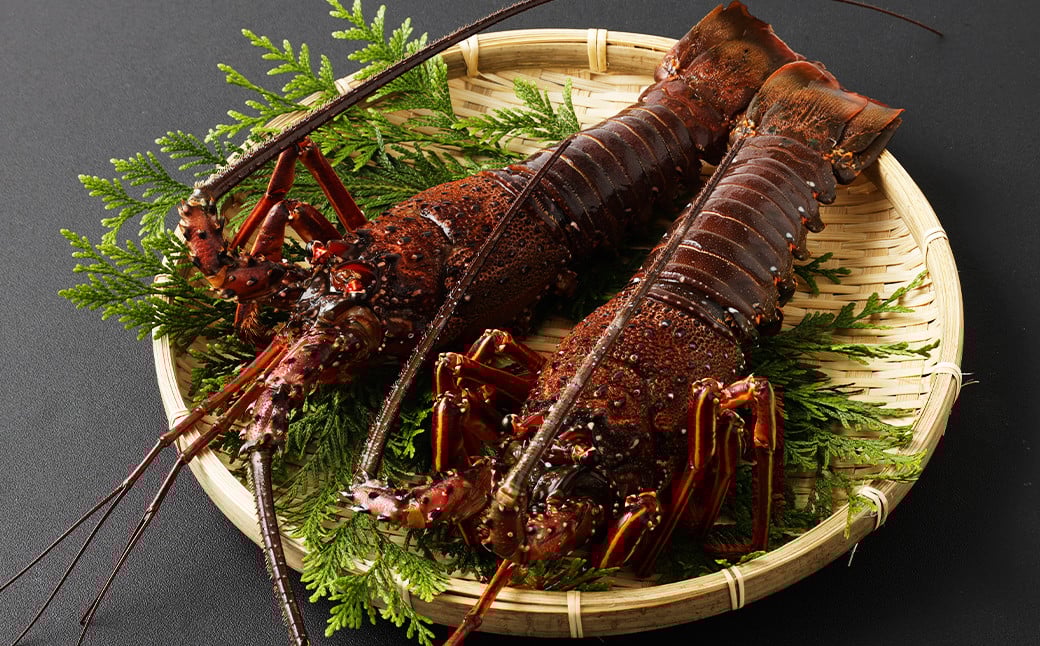 ãæå®æ¥å¿
é ã é·åŽã®æµ·ã§ç²ããã倩ç¶äŒå¢æµ·èã çŽ500g ïŒ é éä»é¡ å€©ç¶ äŒå¢æµ·è äŒå¢ãšã ã€ã»ãšã æµ·è ãåºèº« 湯åŒã å·èµ ã2025幎9æ13æ¥ïœ10æ14æ¥è¿çºéäºå®ã