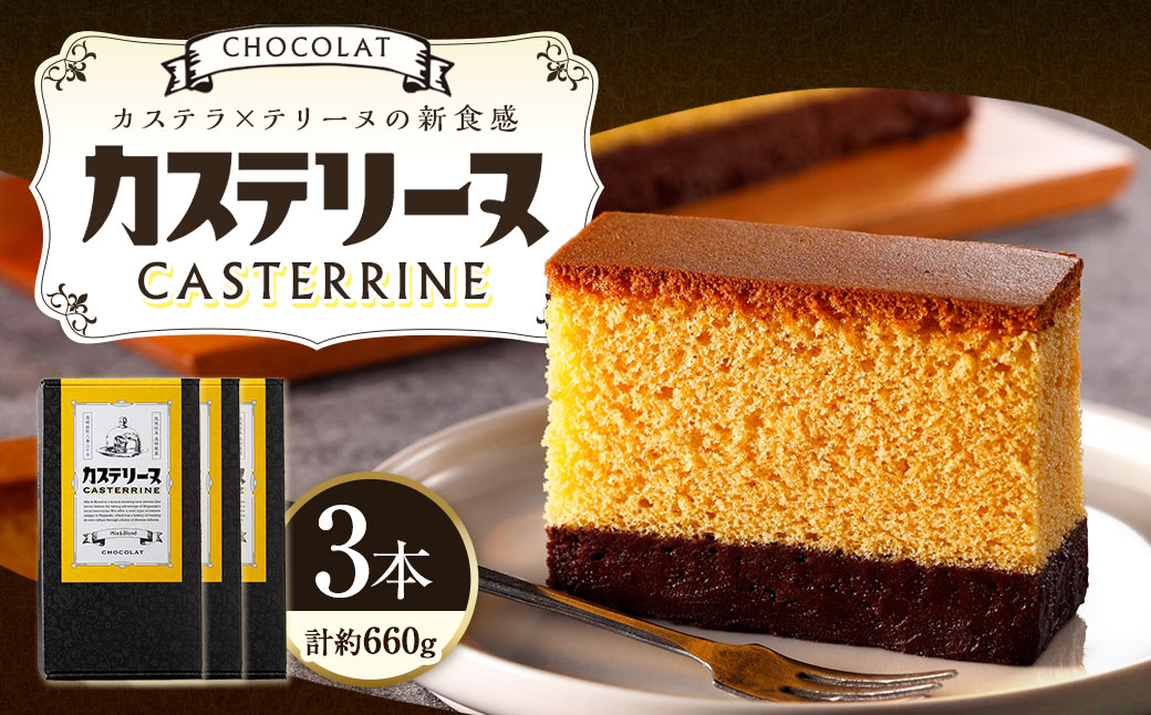 【14営業日以内発送】長崎カステリーヌ・ショコラ 3個 セット ／ 約220g × 3 スイーツ デザート カステラ おかし 菓子 おやつ チョコレート ショコラ テリーヌ ご当地スイーツ かすてら テリーヌ 長崎県 長崎市