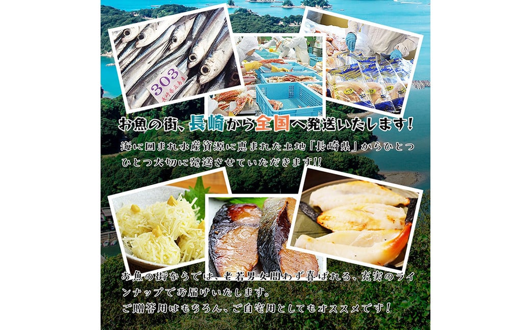 【最長2ヵ月前後】海鮮三昧 ひものセット 干物 魚介 海鮮 魚 おつまみ 肴