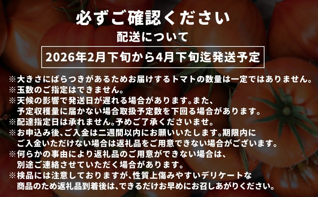 たかしまフルーティトマト 【糖度7度以上】 「純情ハート」 約1kg箱×1 ／ フルーティートマト フルーツトマト トマト とまと 野菜 やさい ケチャップ ピューレ 【2026年2月下旬～4月下旬発送予定】