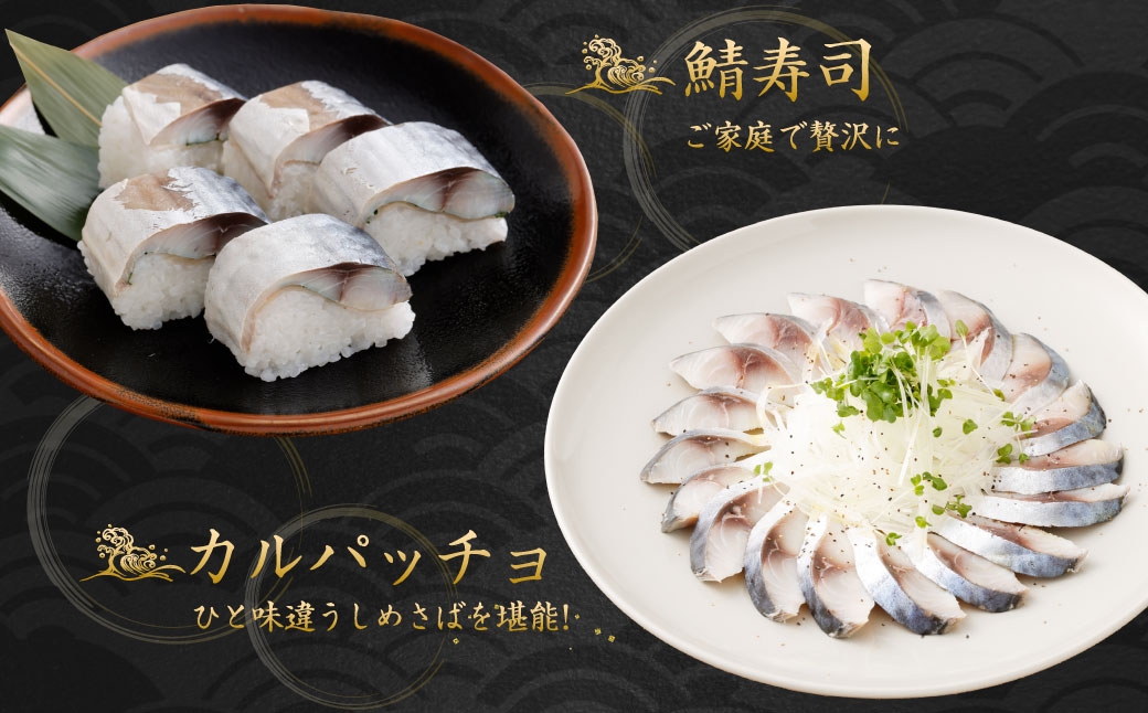 【14営業日以内発送】 【 訳あり 】 しめさば 1～1.2kg（100～120g×10パック） 冷凍 旬 手作業 脂 海産物 魚類 魚 鯖 サバ 真さば 魚介類 魚介 国産 おつまみ