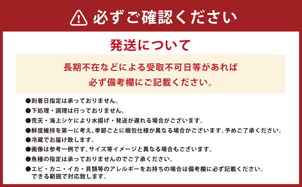 長崎漁港発！長崎近海産旬の鮮魚セット (中) ／ 魚 魚介 鮮魚 海鮮 海産物 刺身 セット 地魚 詰め合わせ 詰合せ つめあわせ 大将農園 長崎県 長崎市