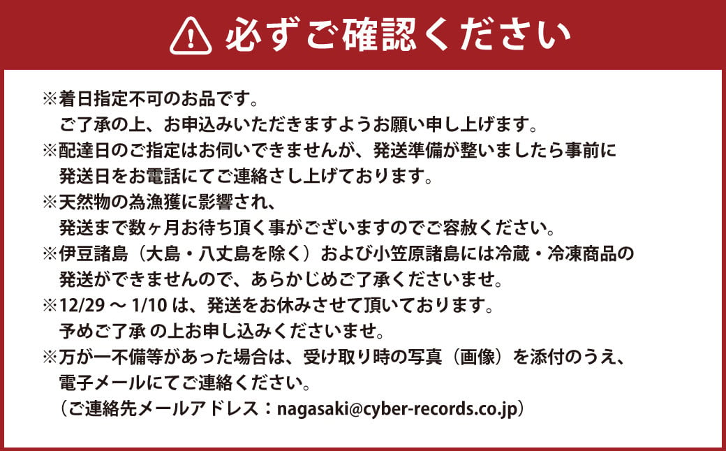 天然 一本釣り アジ【野母んあじ】 2～3本 約1kg 鯵 あじ 刺身 焼き魚 鮮魚 海産物 魚介 お魚 長崎