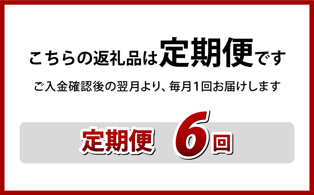 【全6回定期便】具材付き！ 皿うどん 揚麺 4人前 ／ みろく屋 簡単調理 惣菜 具材付き セット 野菜 肉 長崎 冷凍