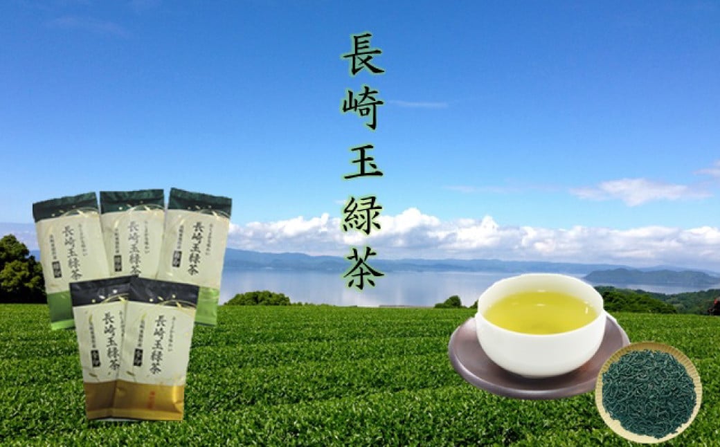 芳醇なコクと香り 長崎玉緑茶緑印 (100g×3本) 長崎玉緑茶金印 (100g×2本) 合計約500g ／ お茶 茶 茶葉 詰め合わせ 詰合せ セット 