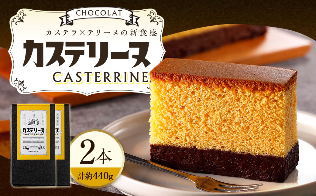 【14営業日以内発送】長崎カステリーヌ・ショコラ 2個 セット ／ 約220g × 2 スイーツ デザート カステラ おかし 菓子 おやつ チョコレート ショコラ テリーヌ ご当地スイーツ かすてら テリーヌ 長崎県 長崎市