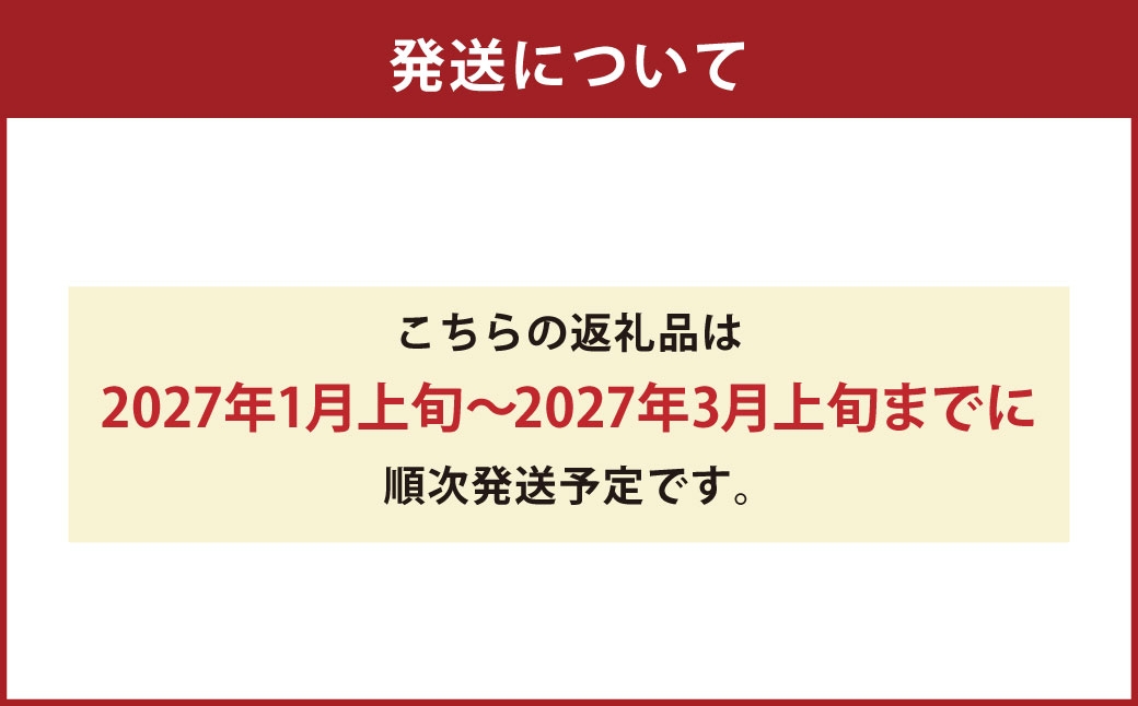 いちご 「 さちのか 」 約1kg（500g×2箱） 【2027年1月上旬～3月上旬出荷予定】 果物 くだもの 果実 苺 イチゴ フルーツ 果肉 国産 長崎県産 ジューシー 甘み コク 爽やか ビタミンC 酸味