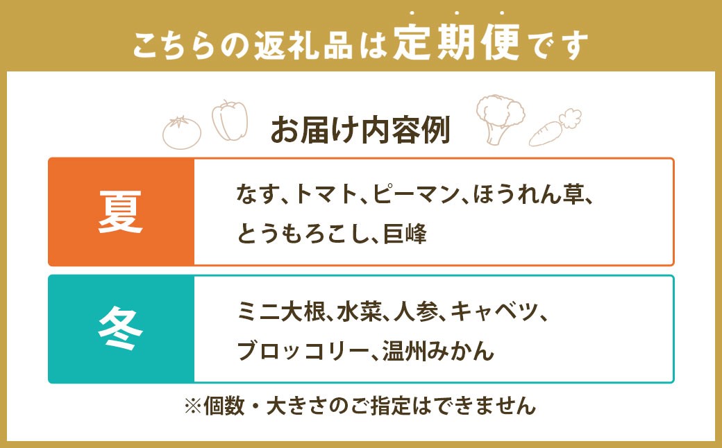【12回定期便】 定番の野菜フルーツセット 6品目以上 ／ 詰め合わせ 鮮度 野菜 やさい 果物 くだもの 果実 フルーツ 定番 セット 季節 定期便 定期 旬