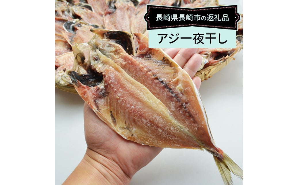 【全3回定期便】【最長2ヵ月前後】長崎産 真アジ一夜干し たっぷり21尾 ／ 海鮮 魚介 干物 ひもの あじ 鯵 アジ 長崎県 長崎市